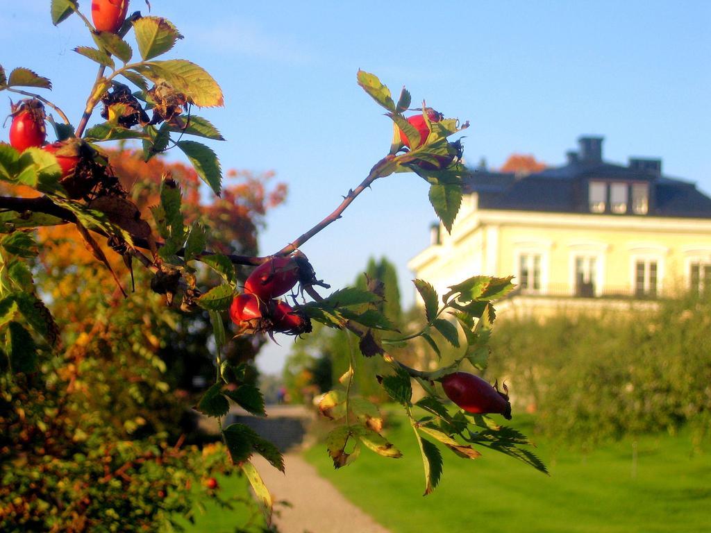 Faerna Herrgard & Spa Hotel Exterior photo